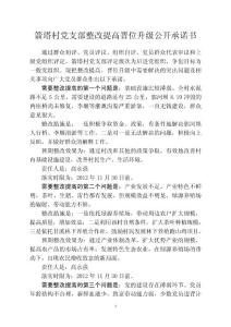 甘溪镇党委整改提高晋位升级公开承诺书