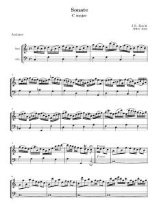 BWV 1033 - Sonata in C major for flute and basso continuo