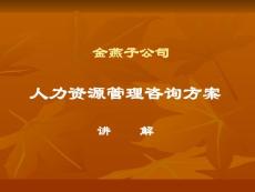 金燕子公司咨詢方案講解