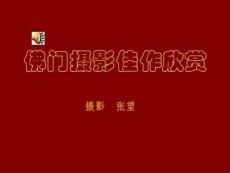 佛門攝影佳作欣賞--一種只可意會，不可言傳的美。
