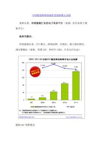 中国服装网络商铺典型案例模式分析