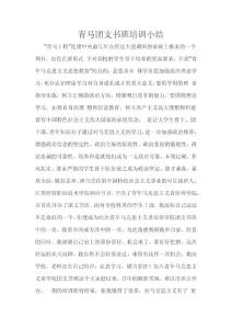 青馬團支書班培訓小結