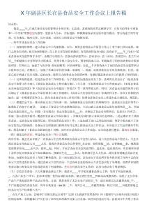 X年副縣區長在縣食品安全工作會議上報告稿