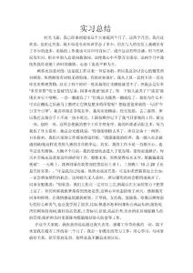 實習(xí)總結(jié)