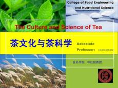 饮茶习俗与茶的冲泡艺术-茶文化茶科学8