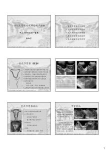计划生育相关疾病超声诊断