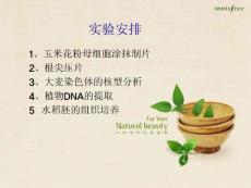 实验一 玉米花粉母细胞涂抹制片