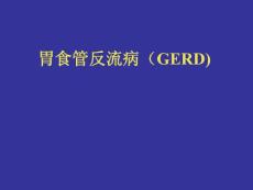 胃食管反流病（GERD)