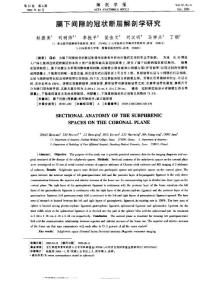 膈下間隙的冠狀斷層解剖學(xué)研究