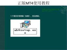 寶泰金號正版MT4使用教程