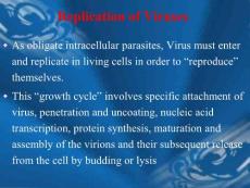 8、病毒的復(fù)制