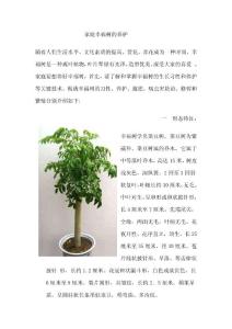 家庭幸福树的养护和管理