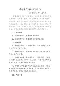 教导主任网络研修计划