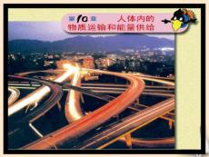 云南省西盟佤族自治縣第一中學七年級生物下冊《10.1 血液和血型》課件（2） 蘇教版