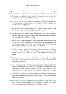 Guided Paragraph Writing Drill 2