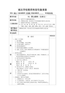 城北学校教师有效性备课表