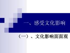 精品課件_高二政治感受文化影響3