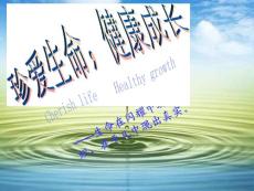 珍爱生命主题班会