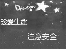 主题班会课件：珍爱生命，注意安全