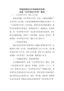 乡村学校少年宫建设工作汇报
