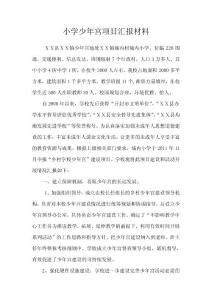 小学少年宫项目汇报材料