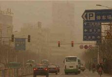 ⑤生態(tài)工程2013.4.2