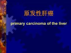 原发性肝癌_1