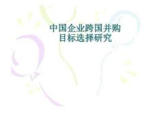 中國企業(yè)跨國并購目標選擇研究