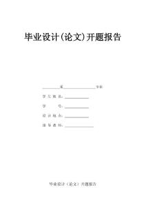 开题报告