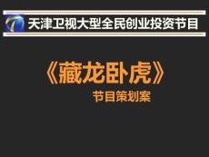 《藏龍臥虎》節(jié)目方案20130308_-修改版