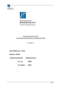 溫度測量 Elektrische Beruhrungsthermometer