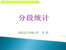 分段统计