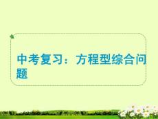 中考復(fù)習(xí)： 方程型綜合問題