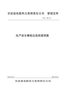 安全生產(chǎn)事故應(yīng)急預(yù)案（正式）