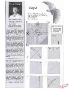 越南老鹰2008版折纸教程(大图)清晰教程