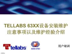 TELLABS设备故障诊断指南