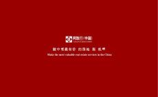 2013海南金泰东方项目市调报告