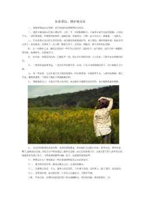 如若错过，便护他安好