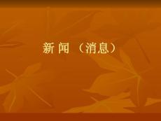 新聞(消息)(s)