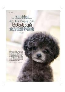 幼犬成長的全方位營養指南《名犬》2013年6月