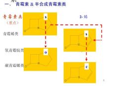 青霉素及半合成青霉素类