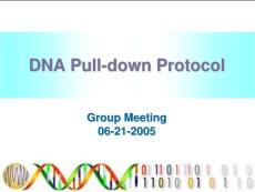 DNA Pull-down Protocol