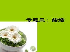 專題三：結(jié)婚