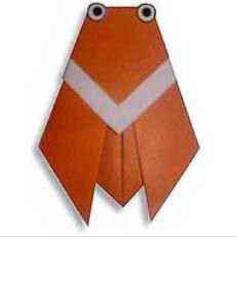 知了的折紙教程