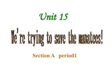 廣東省珠海九中九年級(jí)英語(yǔ)《Unit 15 We’re trying to save the manatees!-Section A》課件