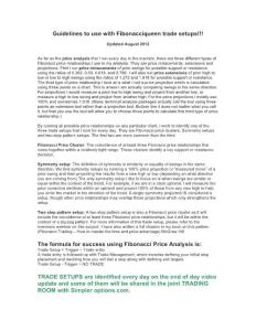 Guidelines to Use with Fibonacciqueen Trade Setups - FibQueen