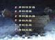 中國古代青銅器第3章第4節(jié)