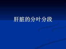 肝臟的分段