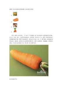 胡萝卜怎么吃最有营养胡萝卜的功效与作用