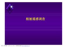 植被遙感調查.PPT